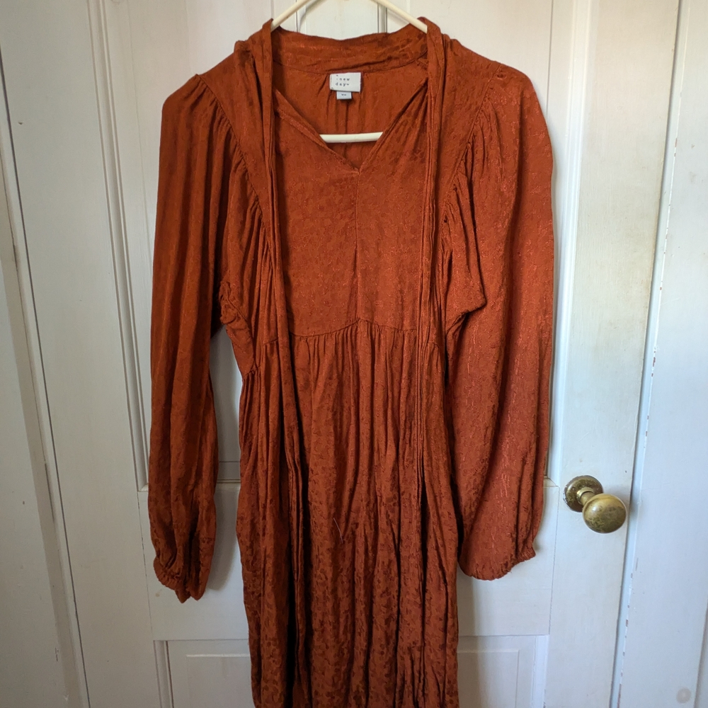 A New Day Rust Textured Dress